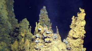 Sources hydrothermales photographiées sur le site Urashima dans l'océan Pacifique Nord à environ 3 000 mètres de profondeur. Image courtesy of Submarine Ring of Fire 2014 - Ironman, NSF/NOAA, Jason, © WHOI