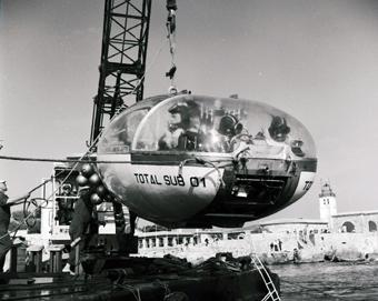 36