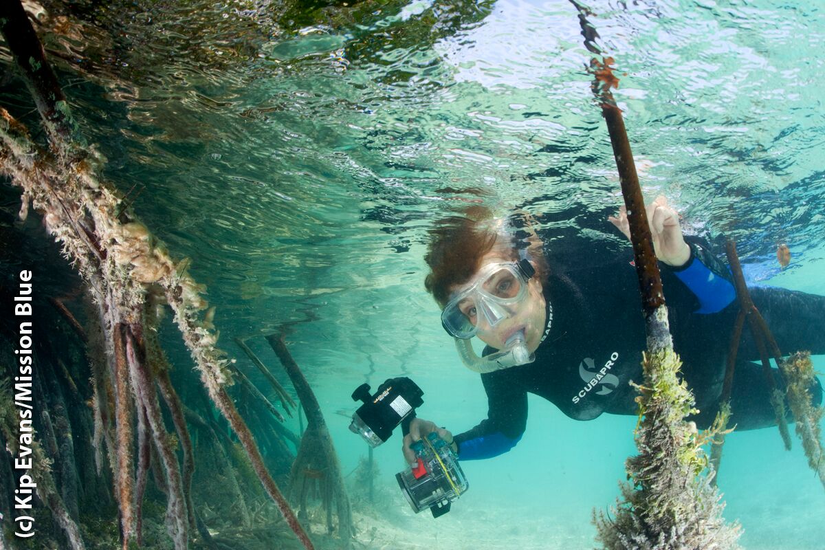 A_SylviaEarle