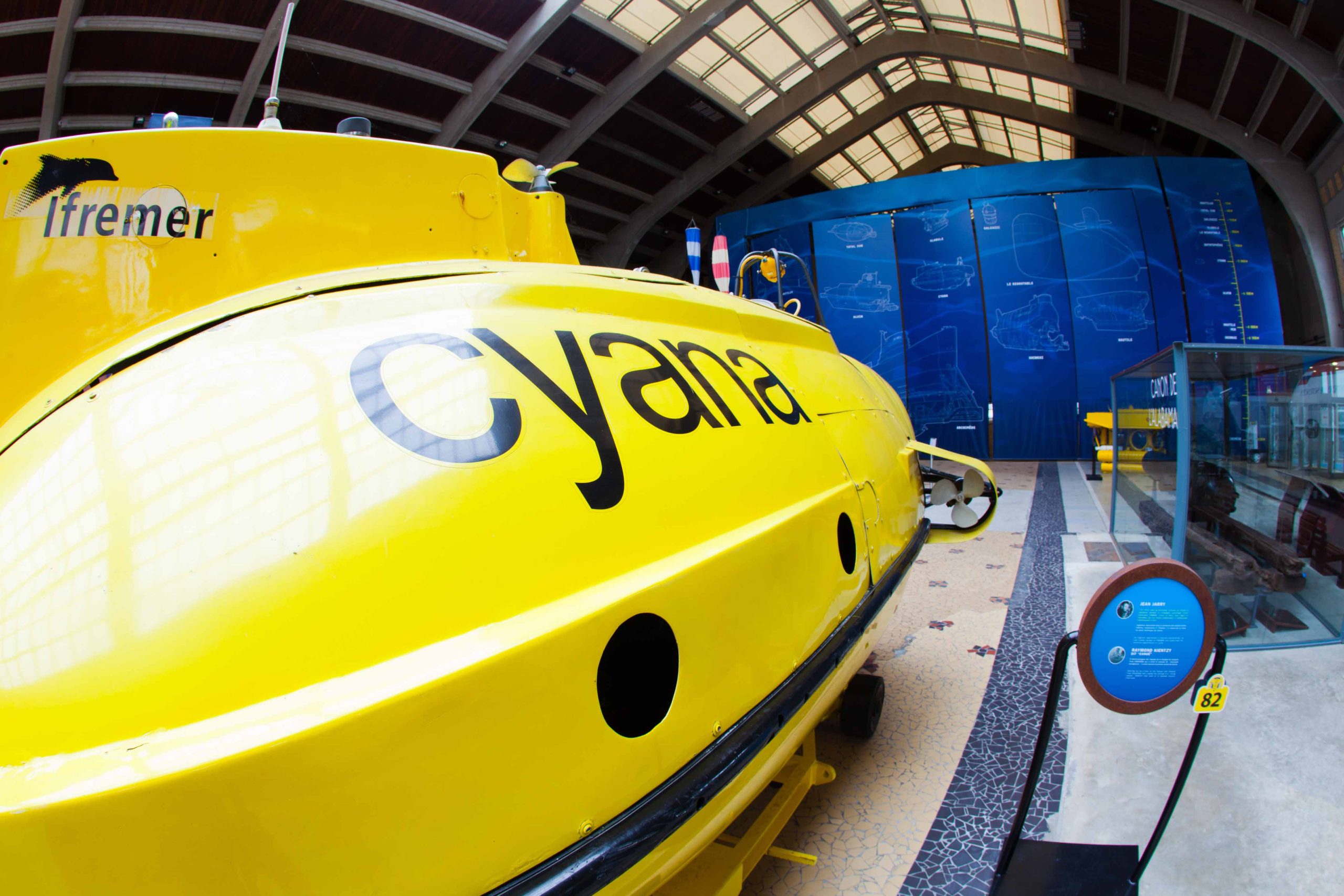 Cyana © Baptiste Almodovar, la Cité de la Mer (1)
