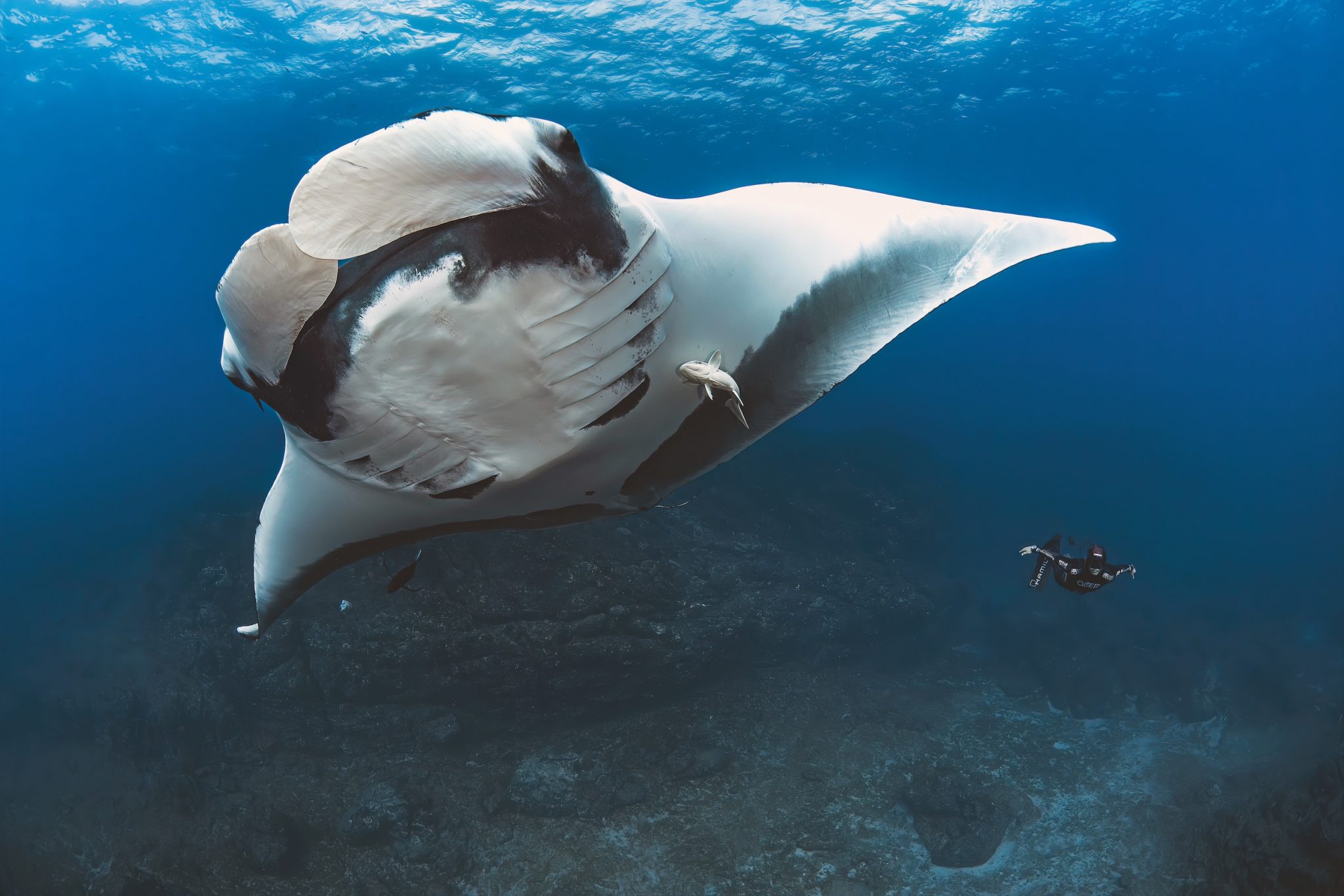 Pierre-Frolla-7-2048×1366-1