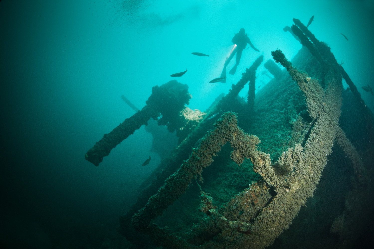 REF201107262047.Nicolas_Job