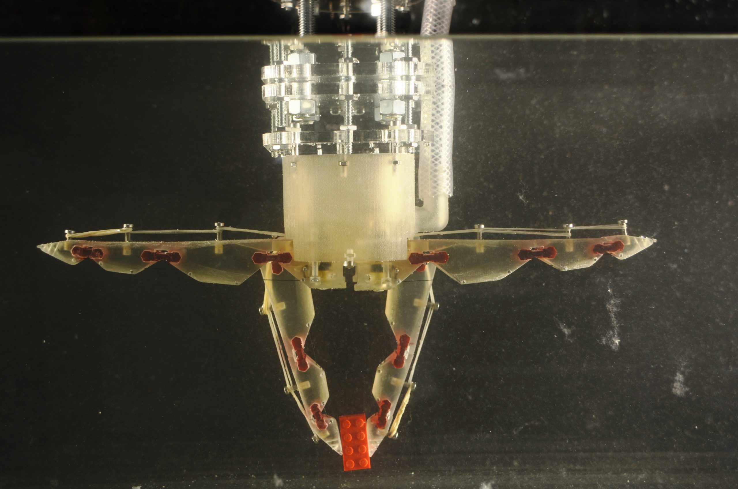 La main peut saisir du bout des doigts un Lego ou empoigner un objet plus encombrant © Université de Stanford