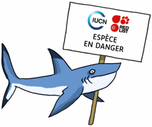 UICN en danger © Gilles LEROUVILLOIS, La Cité de la Mer