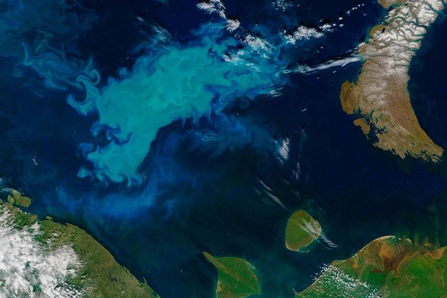 Efflorescence de coccolithophores dans la mer de Barents (Arctique) – Image satellite © NASA