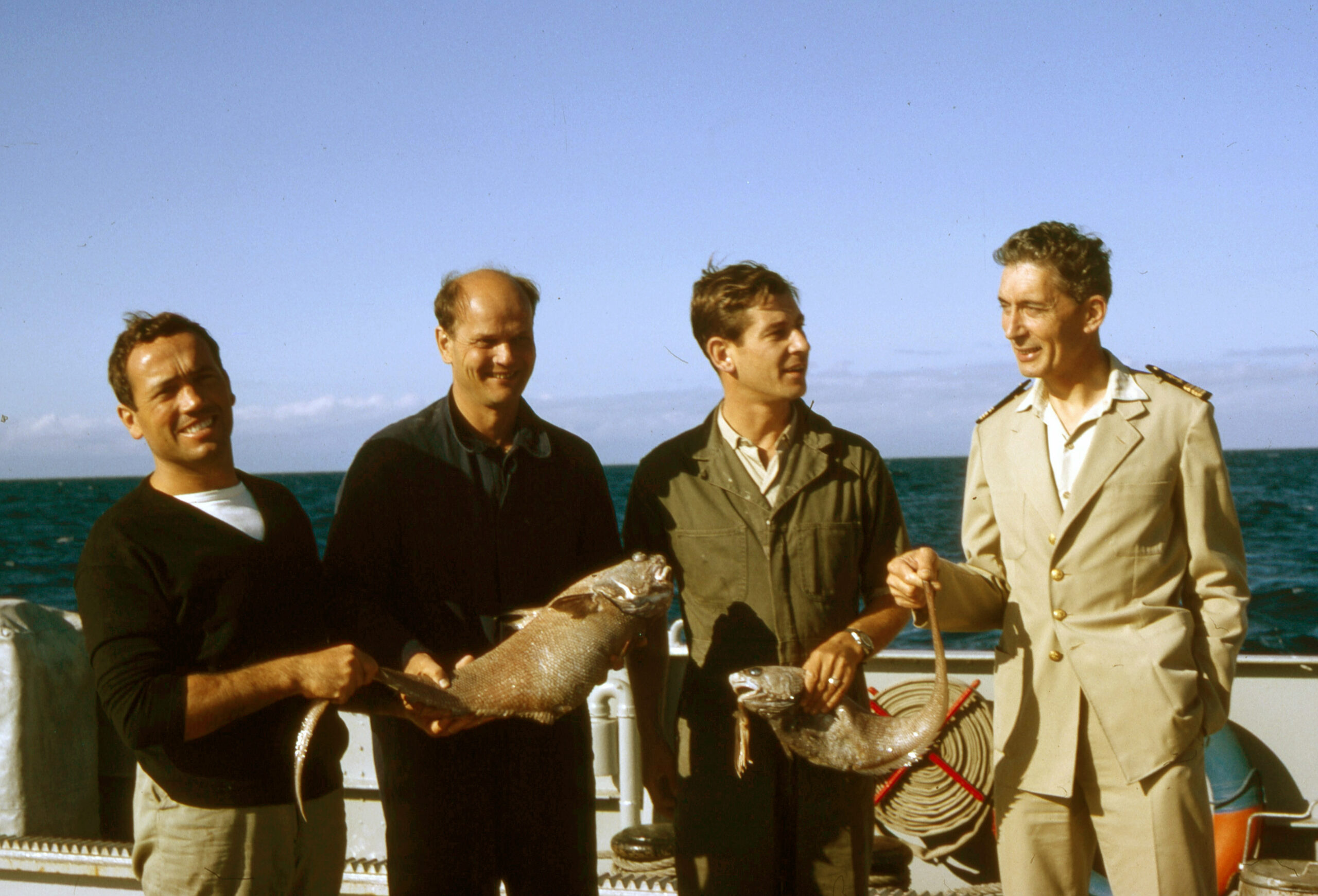 d.51.Mad-Archimede-poissons-des-abysses