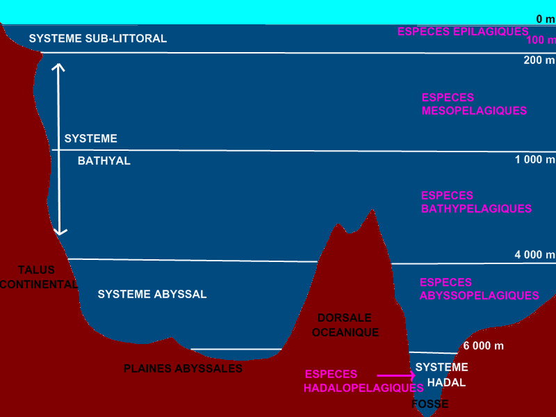 dt_oceano_0092