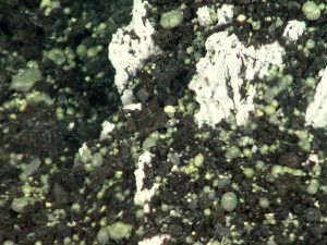 Bulles de sulfure éparpillées sur le fond marin près de la fosse de Brimstone (Pacifique) © Pacific Ring of Fire 2004 Expedition. NOAA Office of Ocean Exploration; Dr. Bob Embley, NOAA PMEL, Chief Scientist