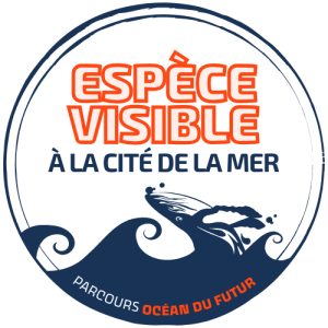 picto espèce visible à la cité de la mer
