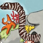 Les animaux marins expliqués aux enfants, murène, étoile de mer, la cité de la mer