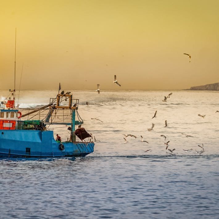 © Pexels, image libre de droits