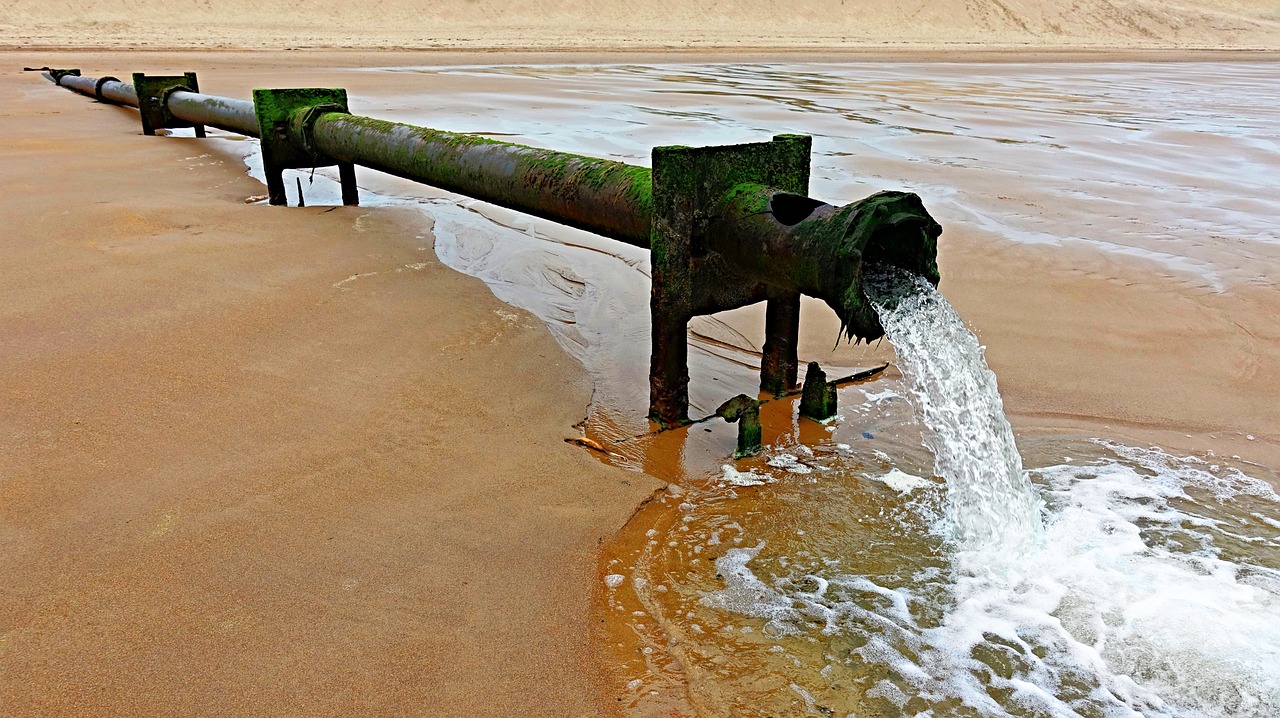 pixabay