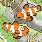 Les animaux marins expliqués aux enfants, poissons clown, la cité de la mer