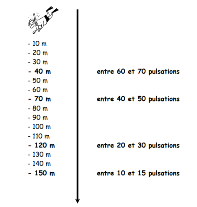 pulsations du cœur par minute en apnée