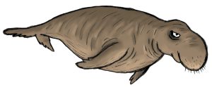 Les animaux marins expliqués aux enfants, rhytine, la cité de la mer