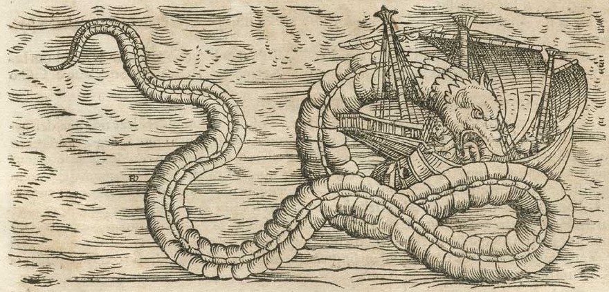 Le « serpent de mer » d’après une gravure tirée d’Olaus Magnus