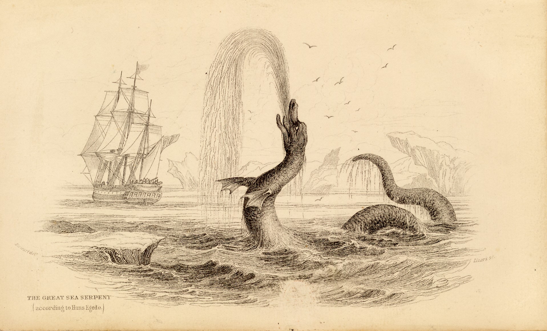 serpent-de-mer-de-Hans-EGED