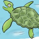Les animaux marins expliqués aux enfants, tortue, la cité de la mer