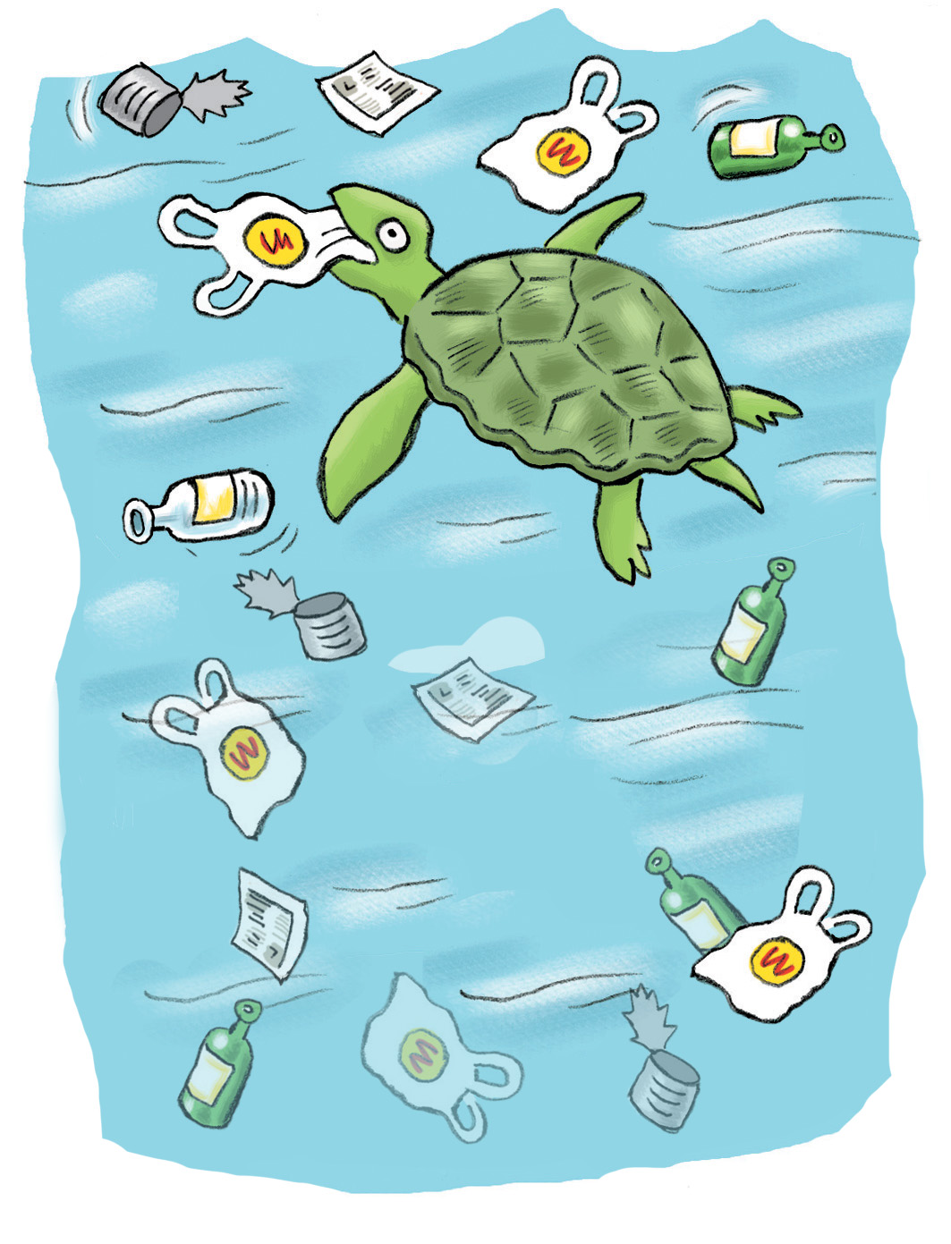 tortue marine_grandformat