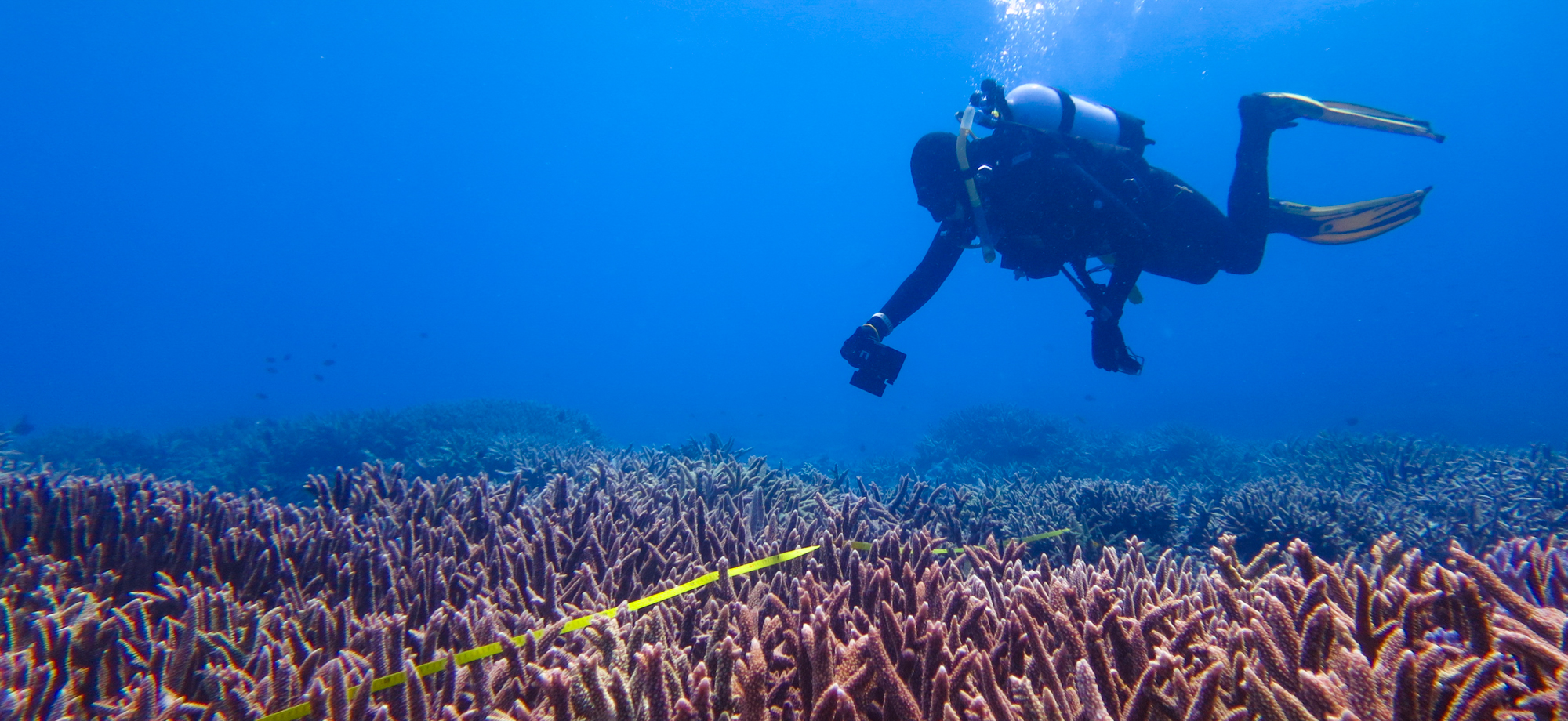 © Australia’s tropical marine research agency