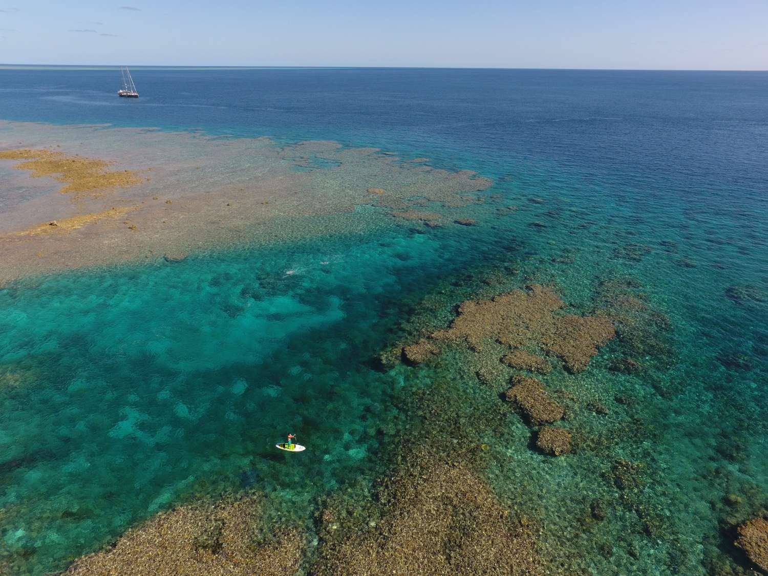 Tara Pacific (2016-2018), la biodiversité unique des récifs coralliens © Fondation Tara Océan
