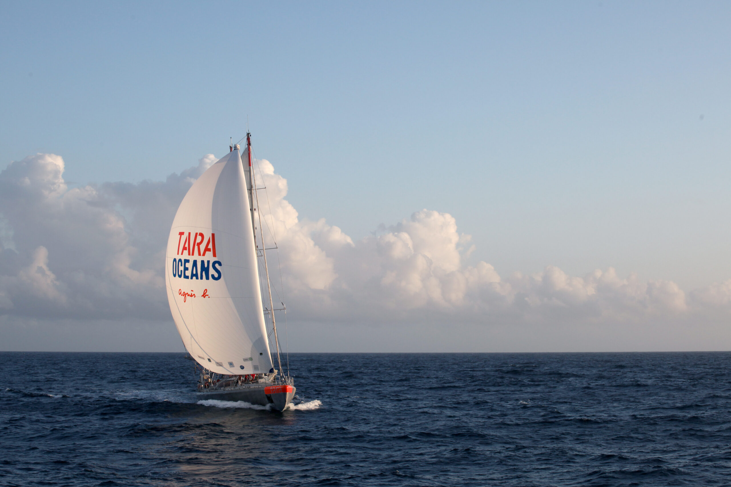 Tara navigation sous spi ©Francis Latreille – Fondation Tara Ocean