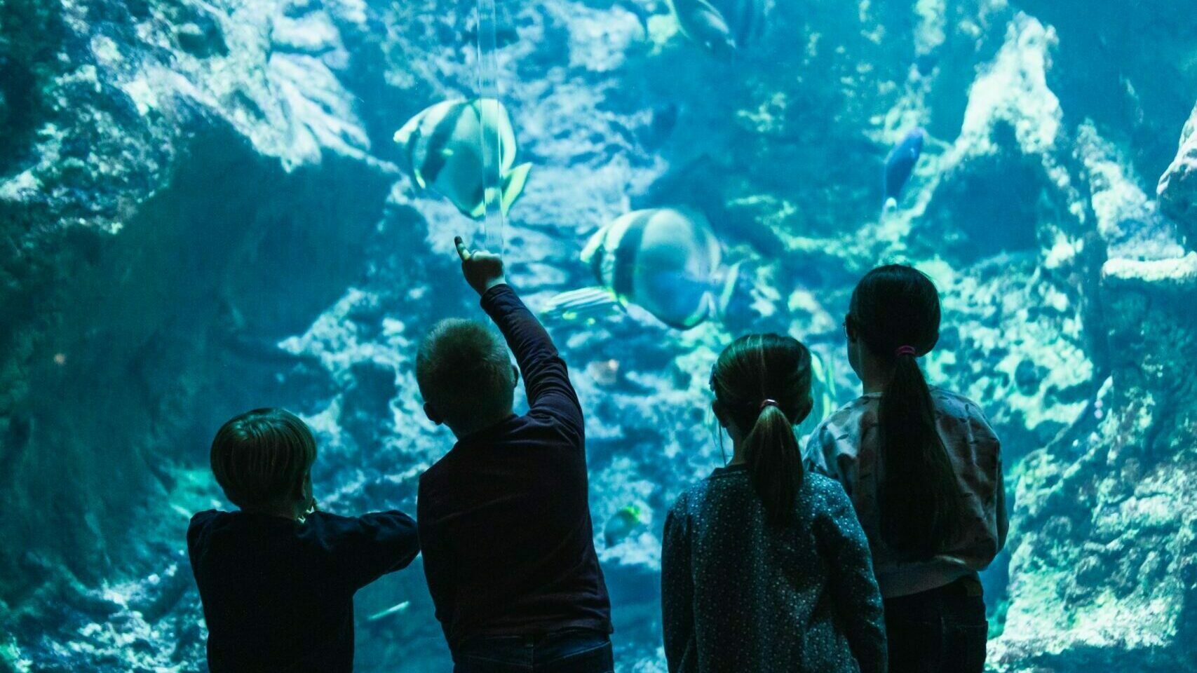 LA VERRIERE CITE DE LA MER © Vincent Rustuel-CITE DE LA MER--7 1