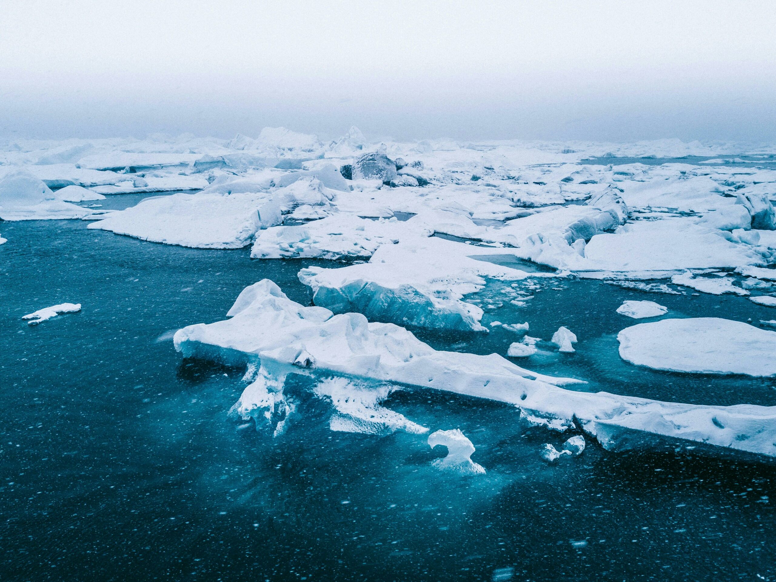 Changement climatique et couleurs de l’Océan (1)