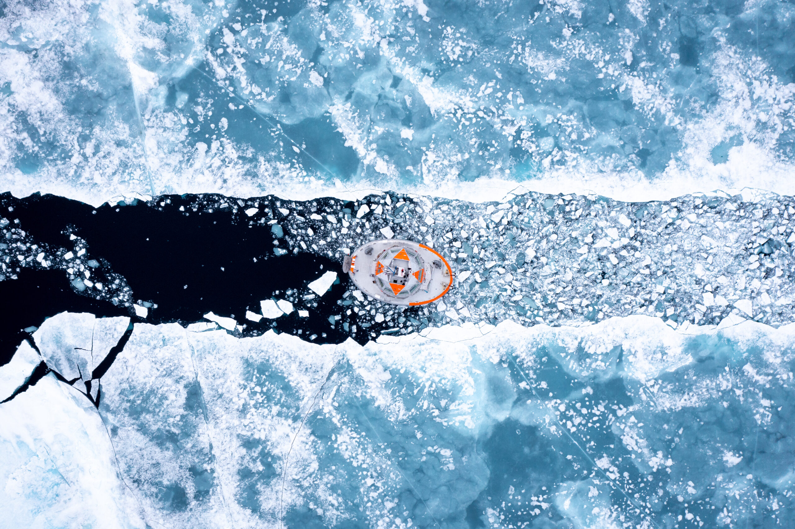 ©Maéva Bardy – Fondation Tara Ocean
