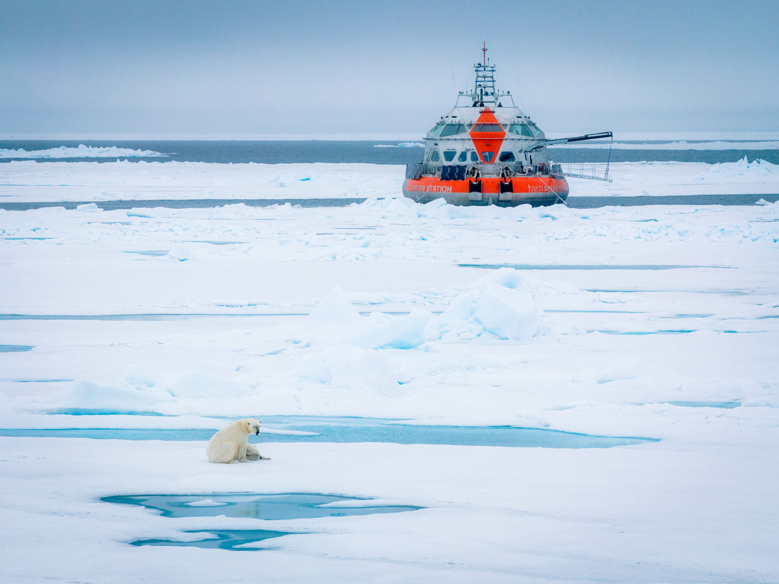 ©Maéva Bardy – Fondation Tara Ocean