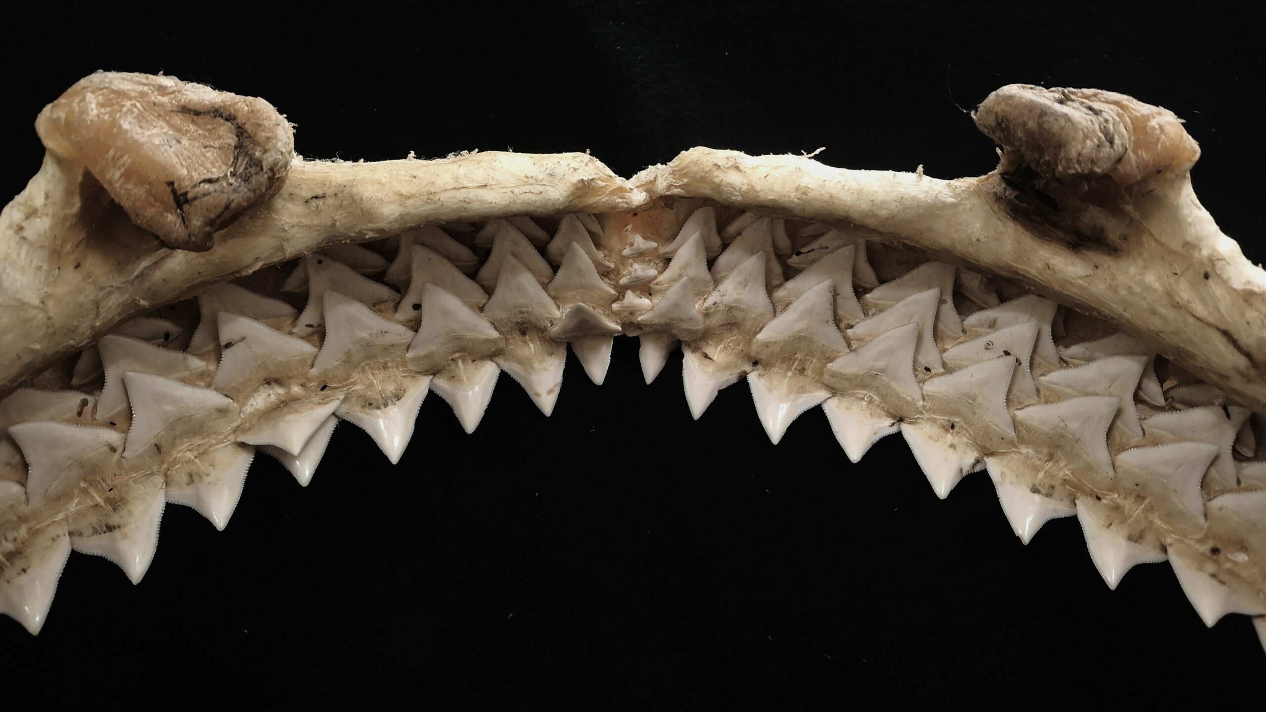 20251013_150208_edit