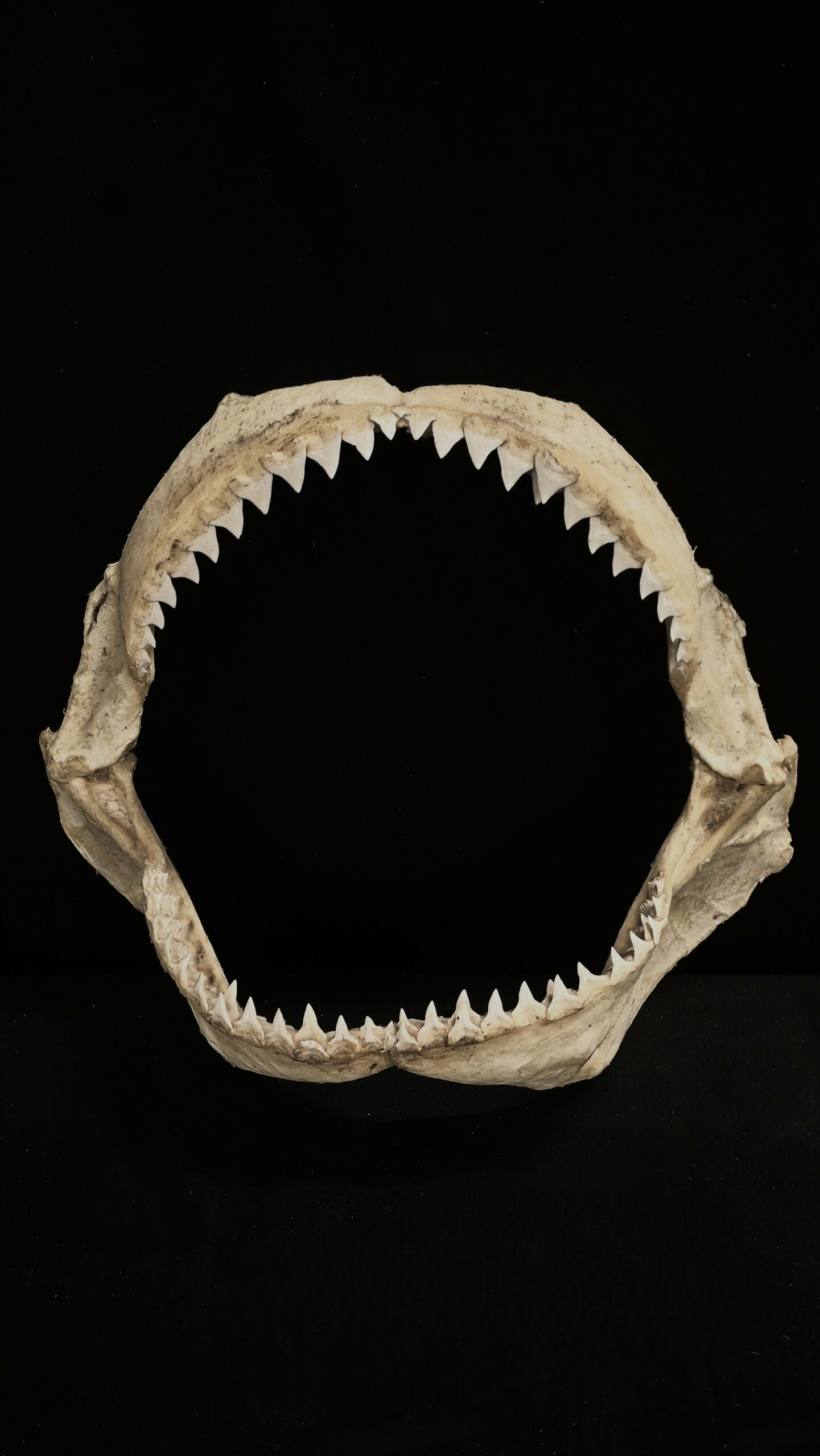 20251013_150312_edit