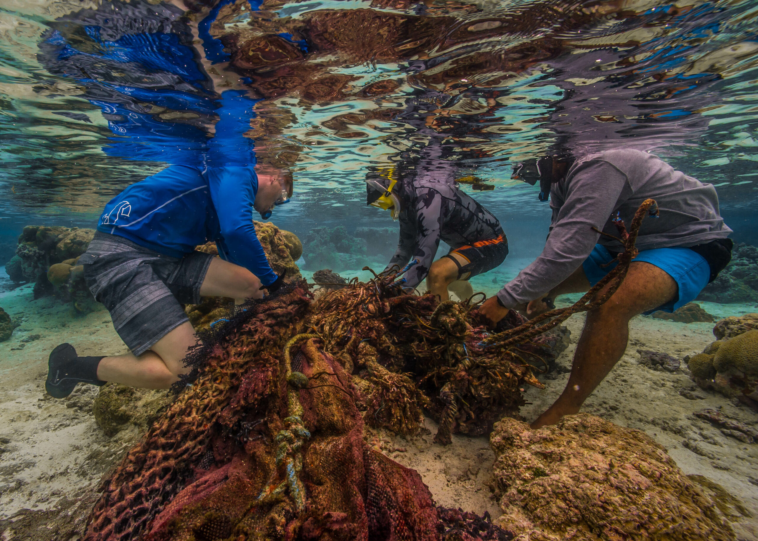Des plongeurs libèrent un récif corallien d&rsquo;un filet abandonné © Shaun WOLFE / Ocean Image Bank