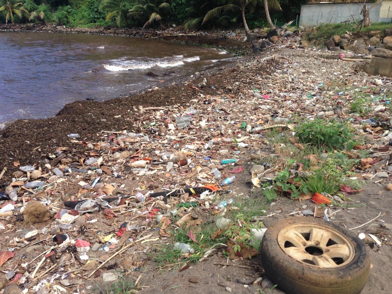 Macrodéchets sur une plage de l&rsquo;île de la Dominique © Matthias HUBER / Ifremer.