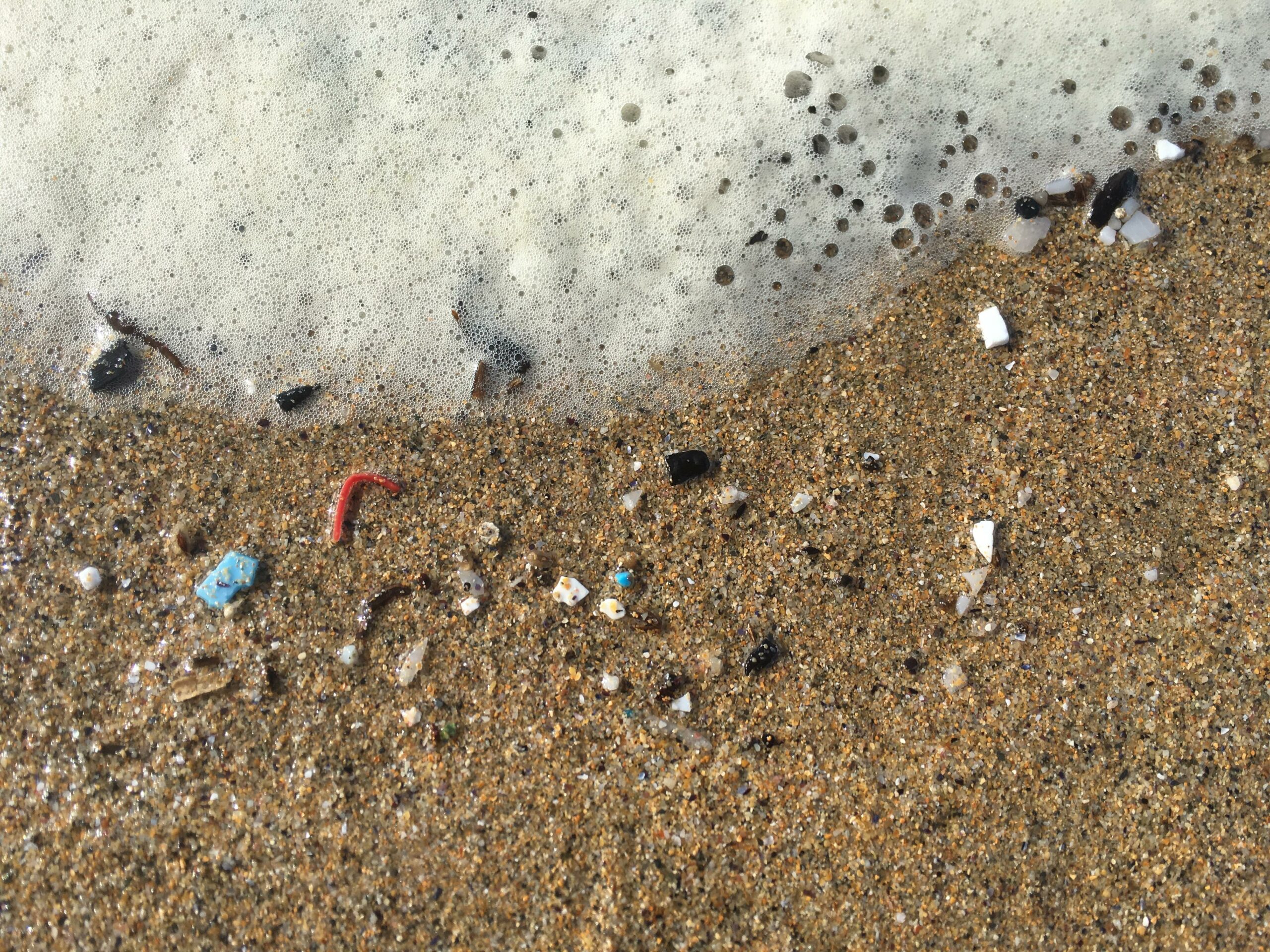 Débris de micro-plastiques sur une plage du Finistère © Emina MAMACA / Ifremer
