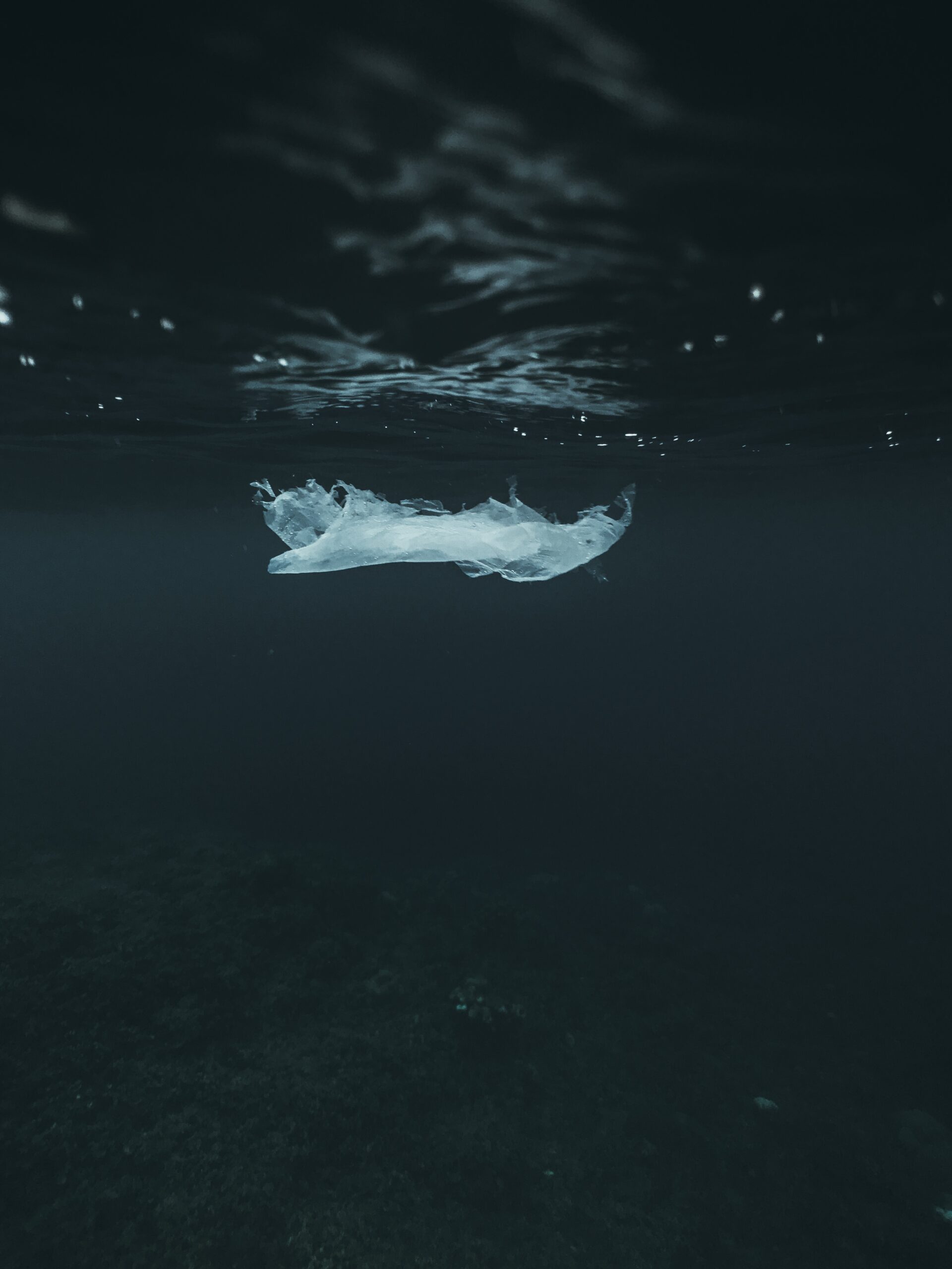 Sac plastique © Naja BERTOLD JENSEN – Ocean Image Bank