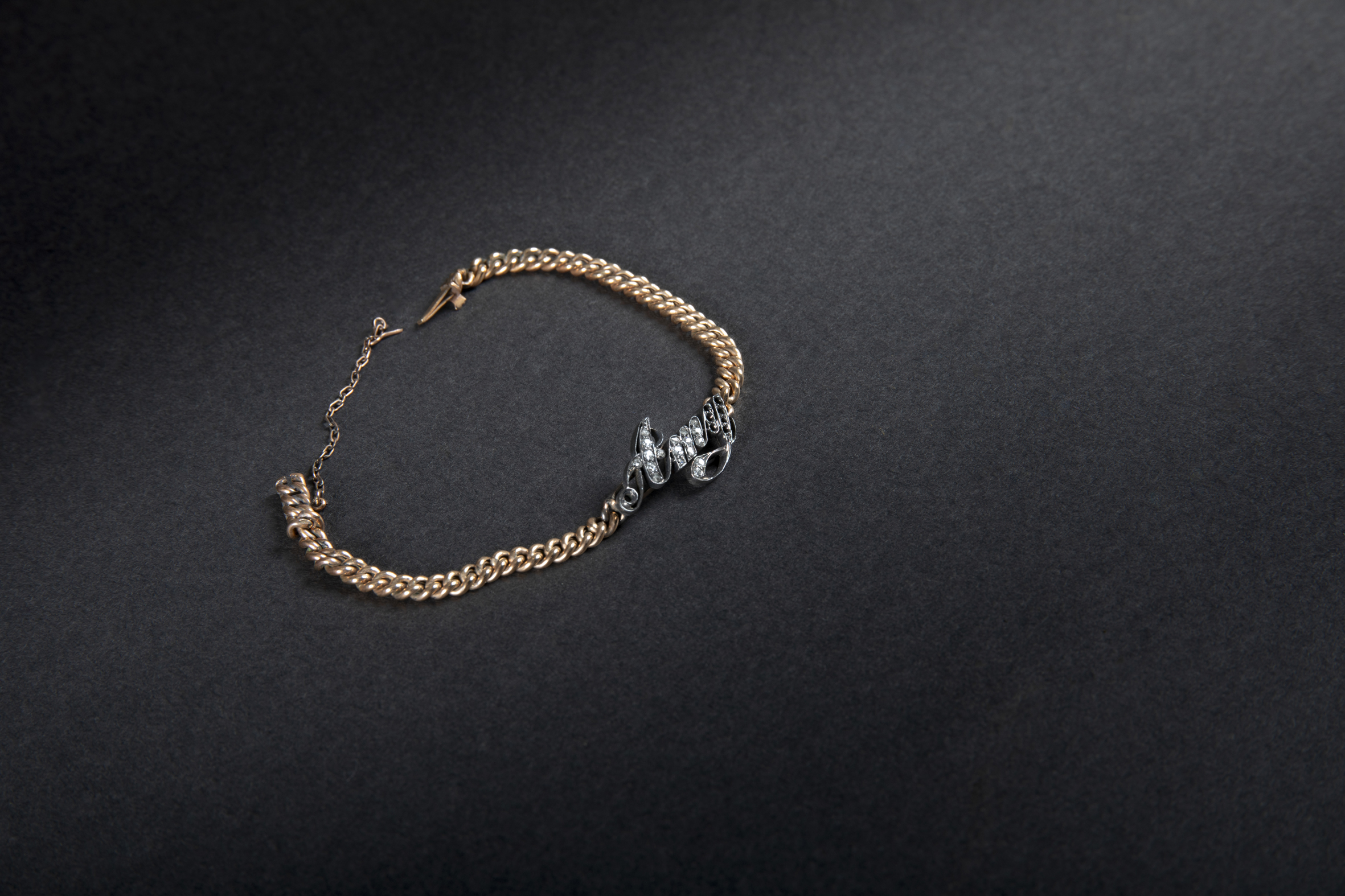 Gourmette or et argent – Exposition 2025 © La Cité de la Mer HandiPrint