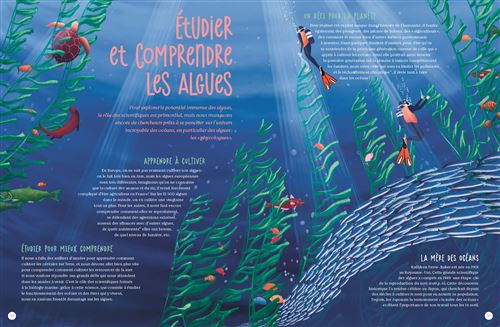 Extrait Comment les algues peuvent sauver le monde