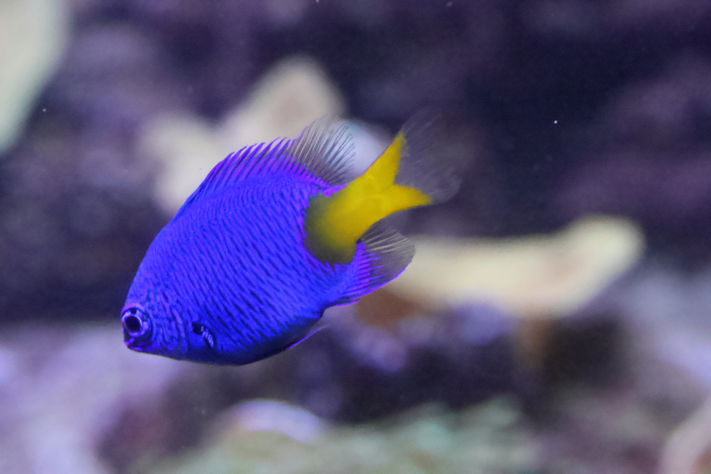 IMG_0604_edit_resized