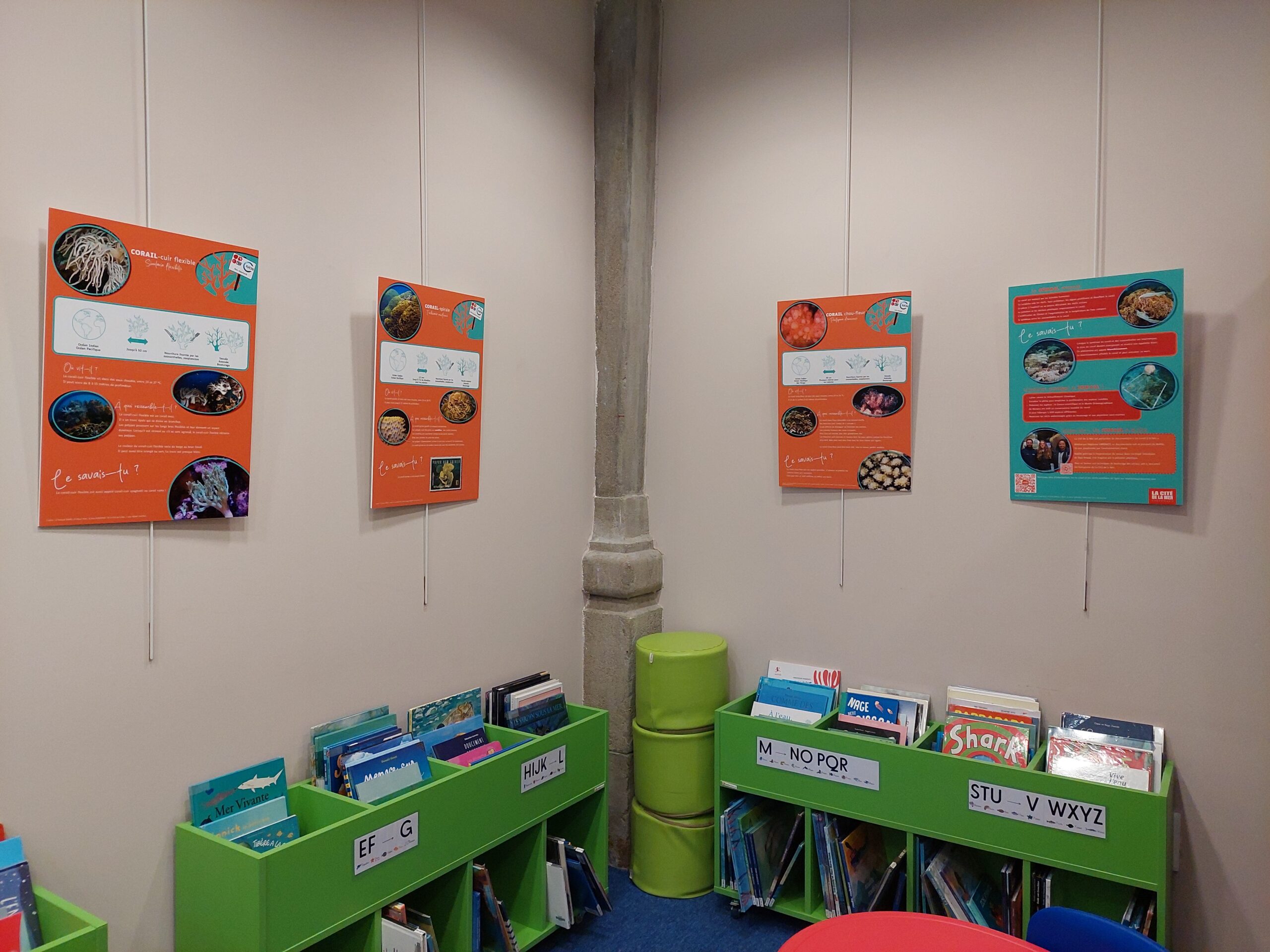 L&rsquo;exposition scientifique « Raconte-moi les coraux » à la Médiathèque de La Cité de la Mer