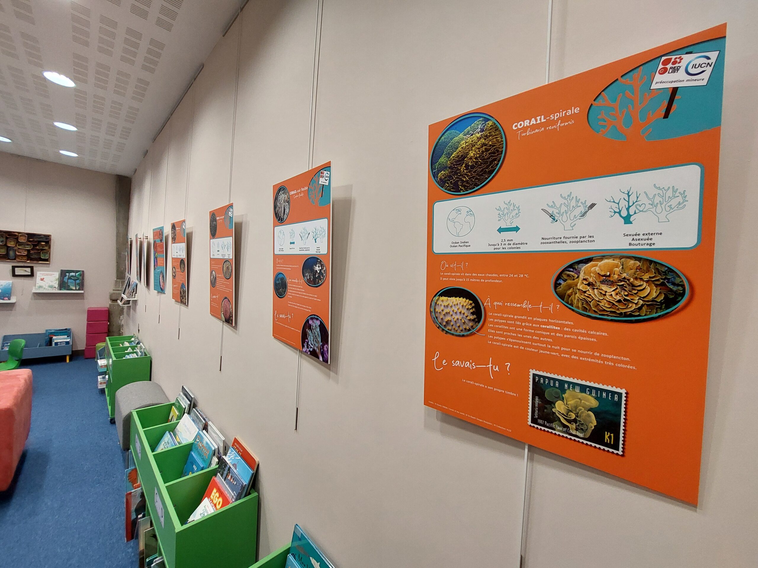 L&rsquo;exposition scientifique « Raconte-moi les coraux » à la Médiathèque de La Cité de la Mer