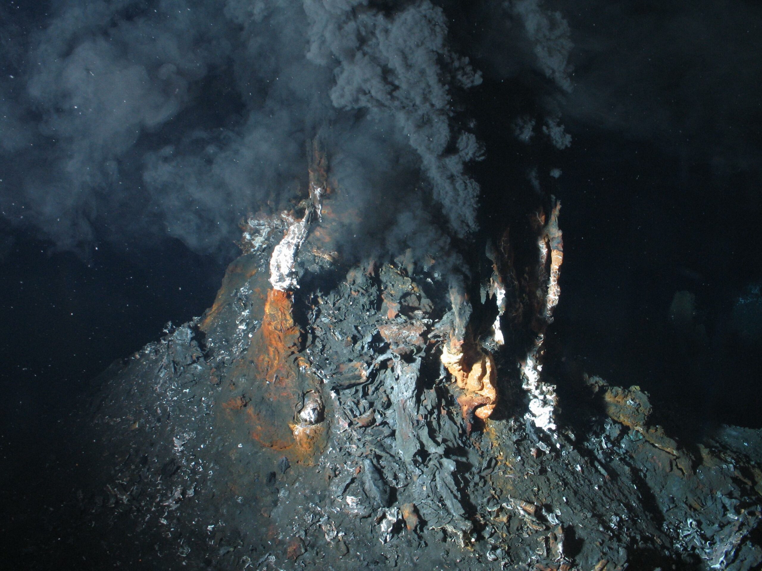 Cheminées hydrothermales actives