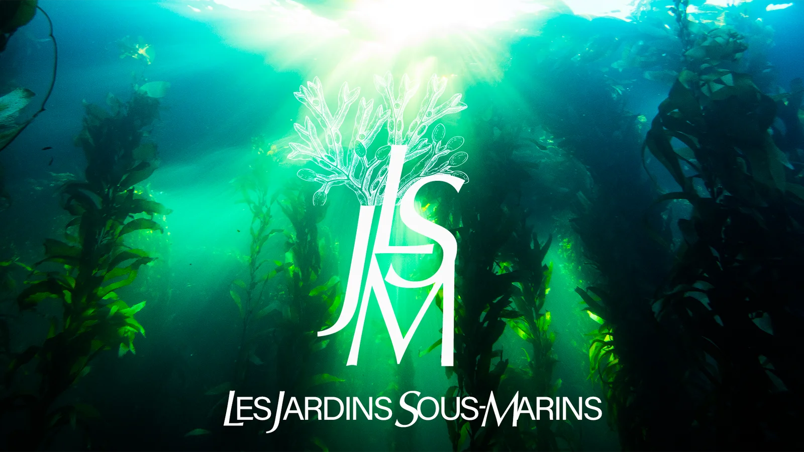 © Les jardins sous-marins