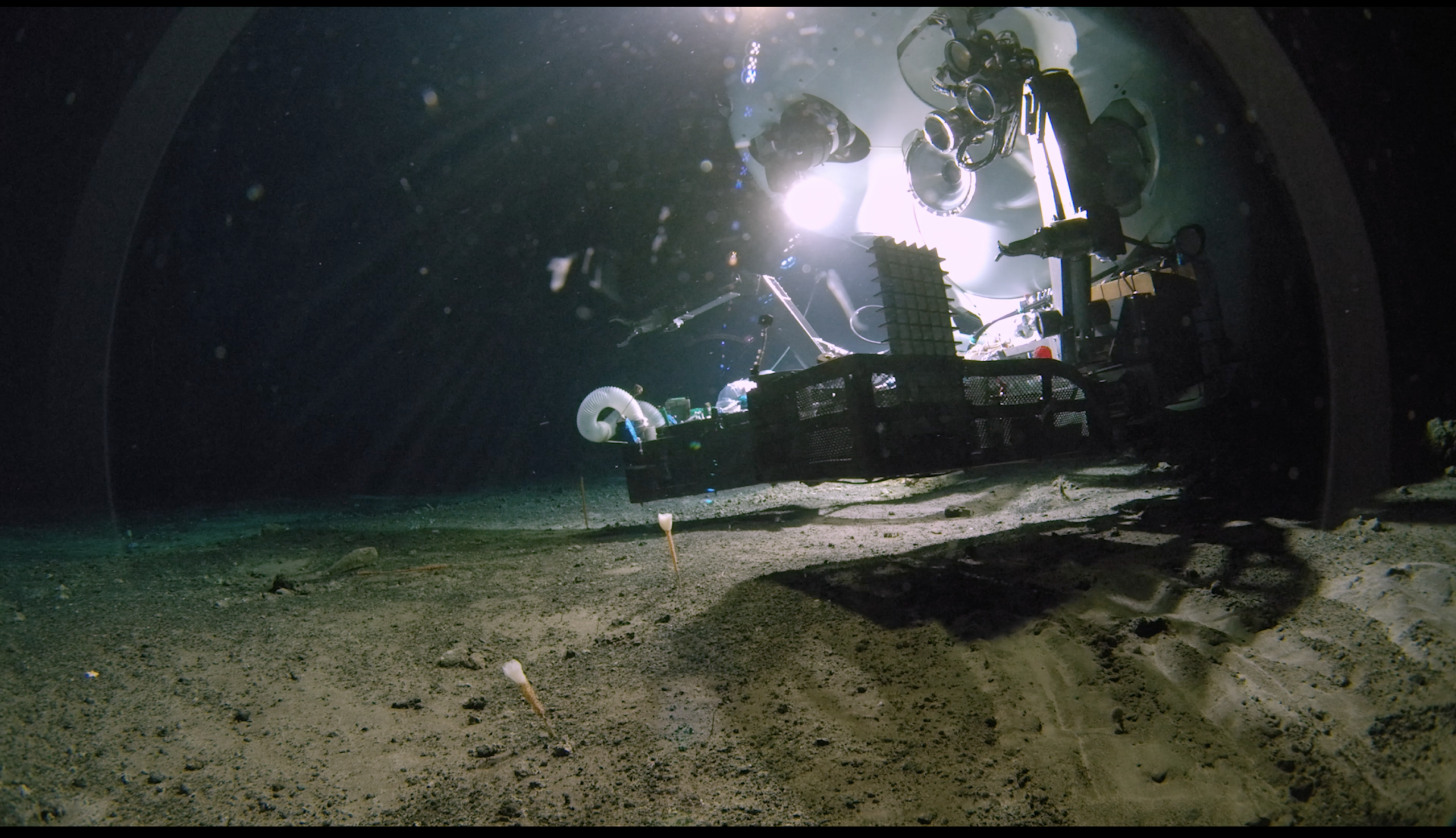 Le submersible habité Shinkai 6500 de la JAMSTEC, photographié sur les fonds marins de la fosse de Nankai. Atteignant des profondeurs de plus de 4 500 m, cette fosse abrite un écosystème diversifié et complexe. © The Nippon Foundation-Nekton Ocean Census, JAMSTEC