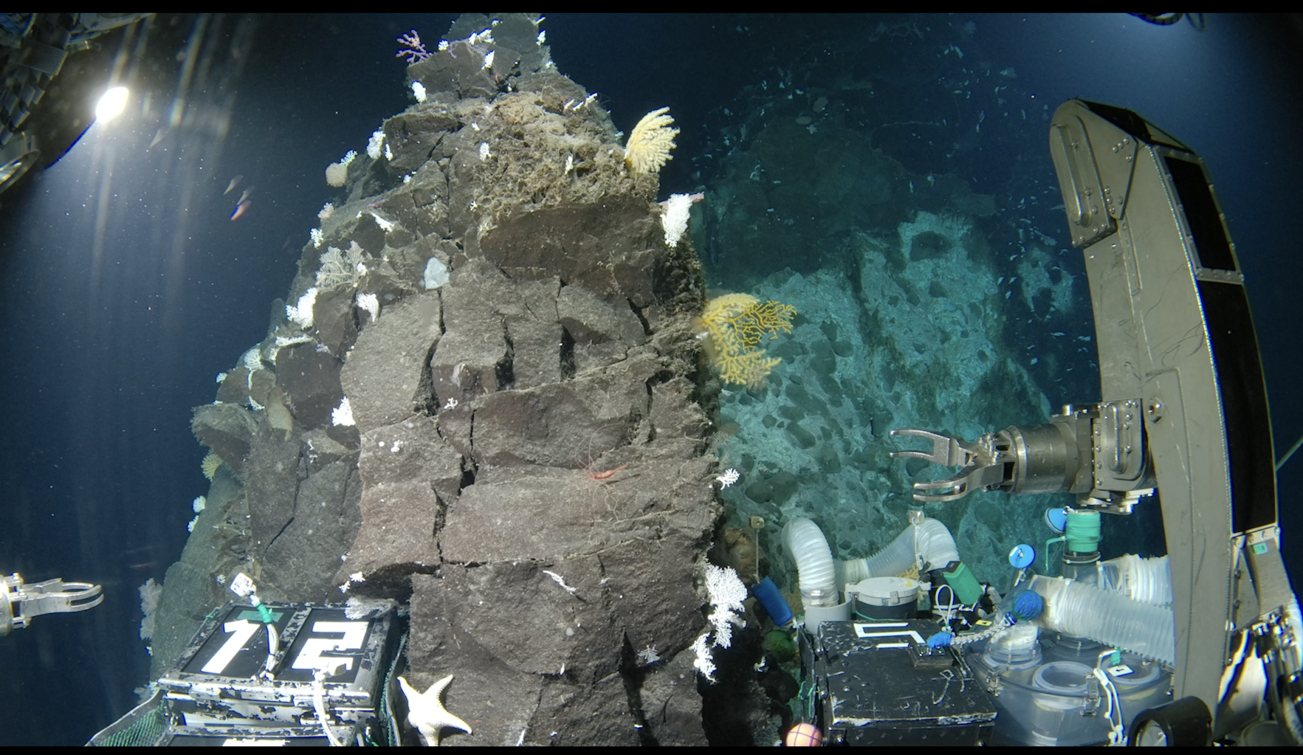 Le submersible habité Shinkai 6500 de la JAMSTEC s&rsquo;approche du sommet de l&rsquo;un des monts sous-marins Shichiyo, qui s&rsquo;élèvent du fond marin jusqu&rsquo;à 1 000 mètres sous la surface. Ces montagnes sous-marines font remonter les nutriments vers la surface et constituent un habitat pour de nombreuses espèces. © The Nippon Foundation-Nekton Ocean Census, JAMSTEC