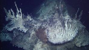 Situées à 3 800 mètres de profondeur, ces sources sont les plus profondes jamais observées dans l'océan Pacifique © 2015 MBARI