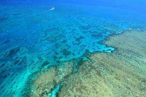 Grande barrière de récif corallien © Roger Buser http://fr.freeimages.com