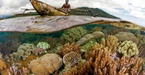 Le récif de Valen © Image: Conservation International/photo by John Martin