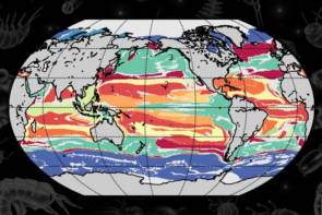 Les chercheurs ont généré une carte de l'océan mondial, colorée par type de province. © Image: Courtesy of the researchers, edited by MIT News.