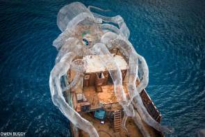 Une pieuvre géante va bientôt servir de récif © Owen Bugg